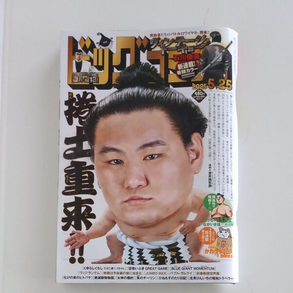 ビッグコミック 10号 5月25日 最新号