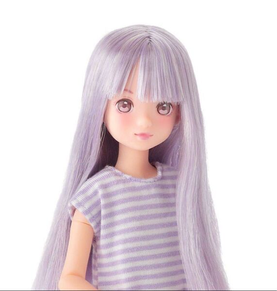 【新品未開封】Fresh ruruko 2406 ルルコ petworks 即決 フルセット