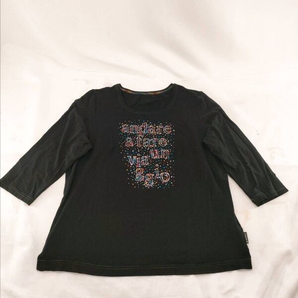 A-24【良品】Chamois 長袖シャツ Tシャツ 丸首 ブラック ラインストーン トップス カットソー 長袖Tシャツ
