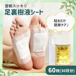 足裏樹液シート 足裏シート 60枚 むくみ 疲れ 旅行 フットケア 個包装