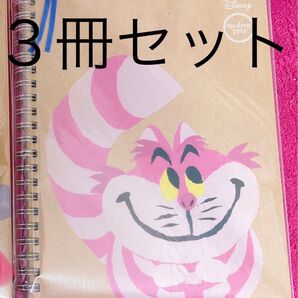 ディズニー チシャネコノート3冊セット☆