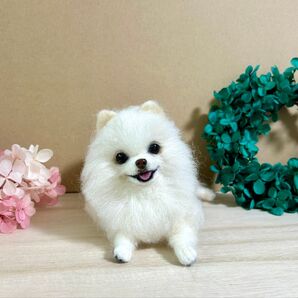 羊毛フェルト にこふわポメラニアン 白ポメ