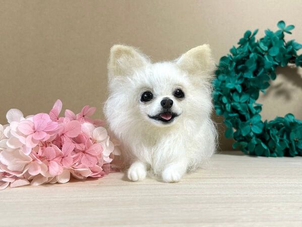 羊毛フェルト にこにこリラックスチワワ