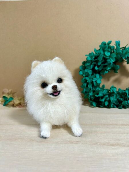 羊毛フェルト にこにこ白ポメちゃん ポメラニアン