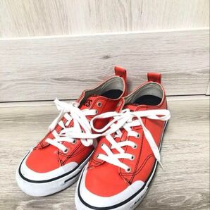dieselスニーカー!