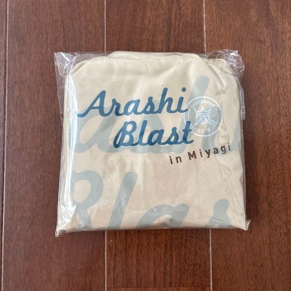 ARASHI BLAST in Miyagi ポンチョ
