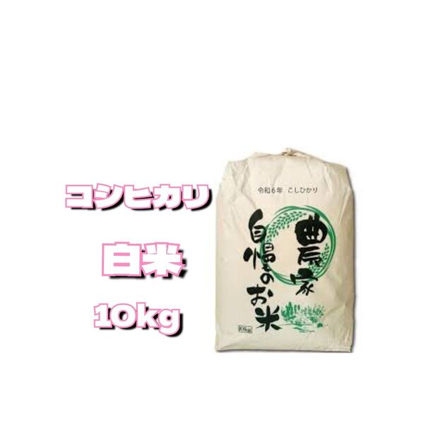 本日発送可能 6年産コシヒカリ白米 10キロ 食味ランキング6年度特A獲得