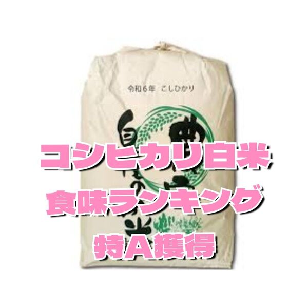 6年産コシヒカリ白米 10キロが3袋(合計30キロ) 食味ランキング6年度特A獲得
