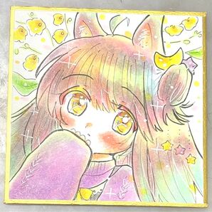 【送料込】オリジナル 手描きイラスト ネザーランドドワーフちゃん 【豆色紙】