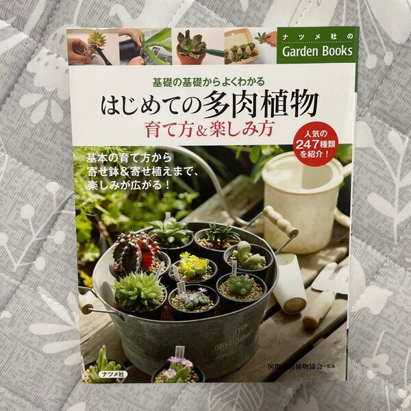 はじめての多肉植物 育て方&楽しみ方