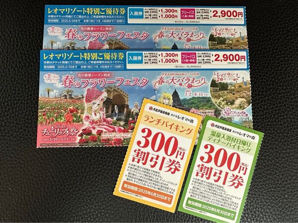 レオマワールド 特別ご優待券 2枚 香川県