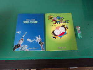 .M4442* 2 pcs. [ two book@ pine start work compilation blue empty that street ][ two book@ pine start connection game *.. series amusement park ...... text ]