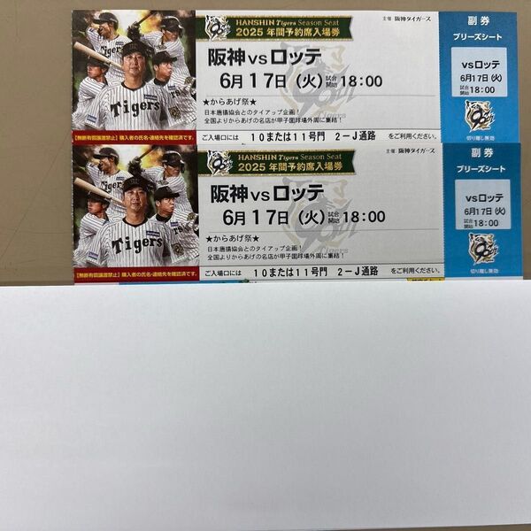 阪神タイガース 甲子園 6月17日ペアチケット 対ロッテ戦 中日 アイビーシート 日 阪神