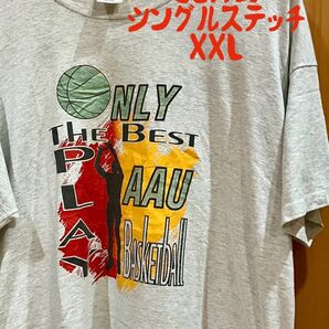 USA製 シングルステッチ ビンテージTシャツ フルーツオブザルーム バスケ