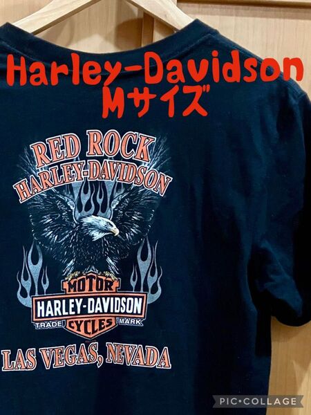 ハーレーダビッドソン Harley-Davidson Tシャツ 黒 M 2011