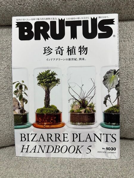 BRUTUS(ブルータス) 2025年5月15日号 (マガジンハウス)