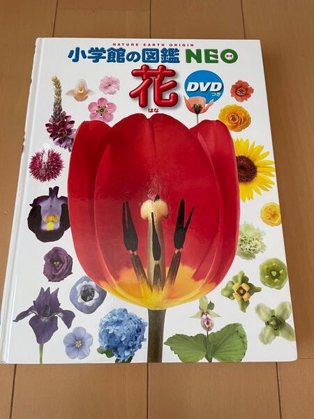 小学館の図鑑 NEO 花 図鑑 DVD付き neo