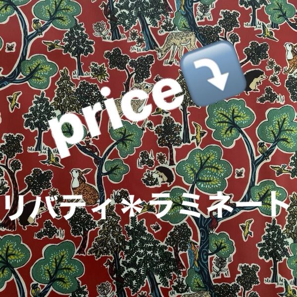 ☆リバティーラミネート生地 布幅110㎝×50㎝