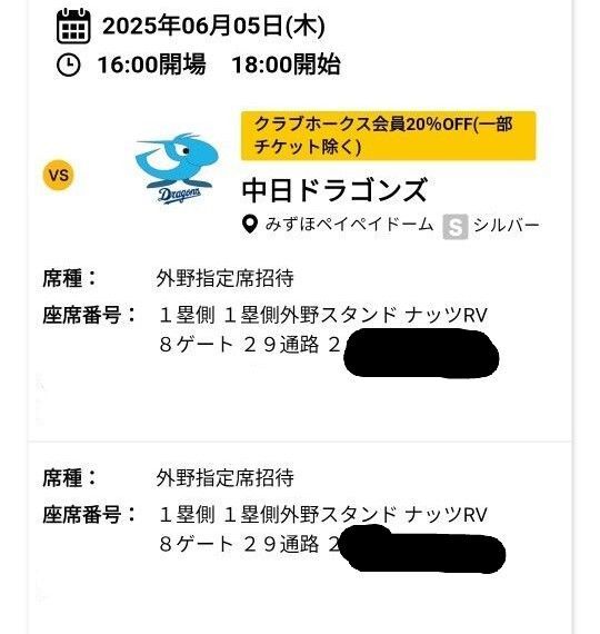 6/5ソフトバンクホークスvs中日ドラゴンズ戦 一塁側外野指定席通路側ペア