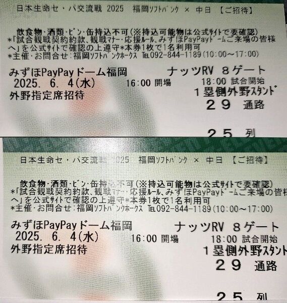 6/4ソフトバンクホークスvs中日ドラゴンズ戦 外野指定席通路側ペア