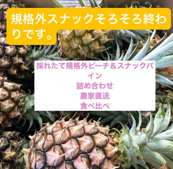 沖縄県石垣島産規格外ピーチ&スナック詰め合わせ80サイズ