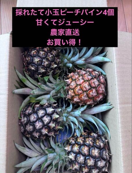 沖縄県石垣島小玉ピーチパイン4個入り