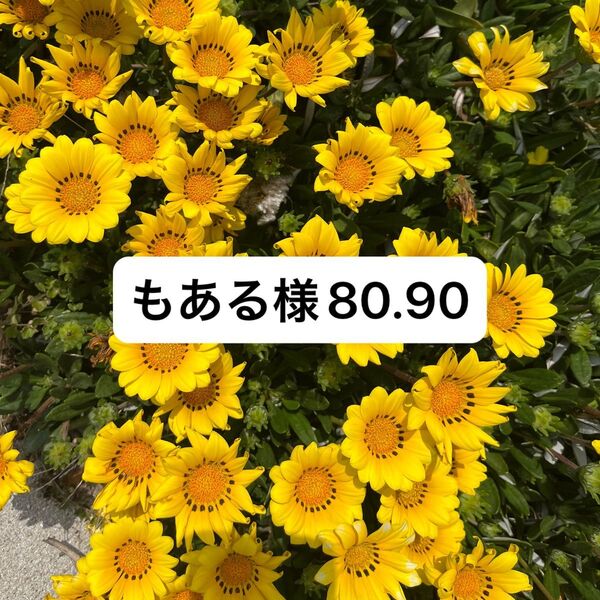 もある様80.90