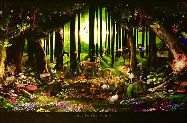 ジグソーパズル 1000ピース 『迷いの森 LOST IN THE WOOD』エポック社