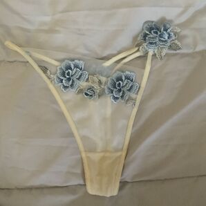 Tバック ワコール パルファージュ ショーツ 女性用下着