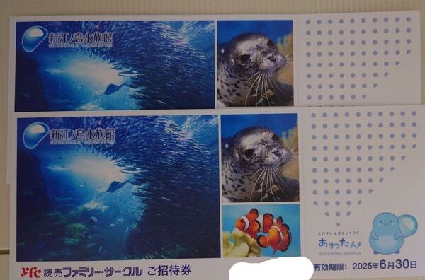新江ノ島水族館 招待券2枚セット