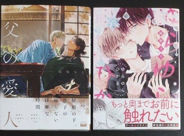 BL2冊セット 父の愛人・塩味ちる ゆらゆらひかる・ 鉢野うら