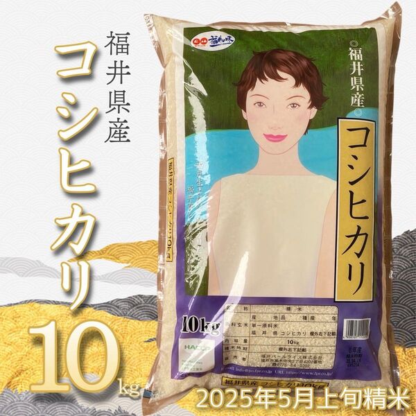 福井県産 コシヒカリ10kg 令和6年産単一原料米 5月上旬精米 白米 _12時間以内発送