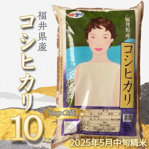 福井県産 コシヒカリ10kg 令和6年産単一原料米 5月中旬精米 白米 _5kg×2袋