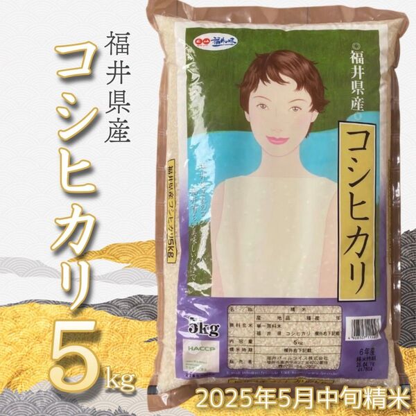福井県産 コシヒカリ5kg 令和6年産単一原料米 5月中旬精米 白米 _24時間以内発送