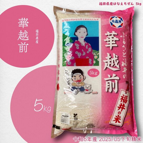 福井県産 華越前 5kg 単一原料米 精米_2025年5月下旬 令和6年産 銘柄米 スピード発送