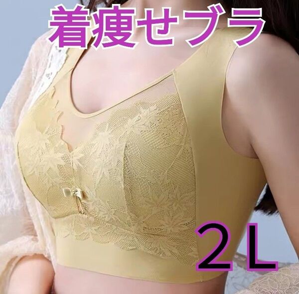 着痩せブラ 胸を小さく見せる ノンワイヤー ナイトブラ シームレス 2L 花柄