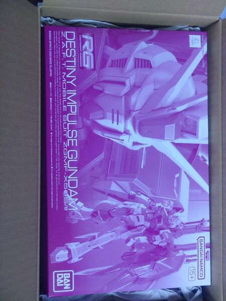 RG デスティニーインパルスガンダム ZGMF-X565/θ プラモデル