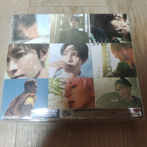 RAYS snowman 通常初回プレス CD