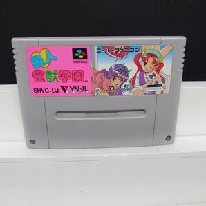 208 SFC 遊人 雀獣学園
