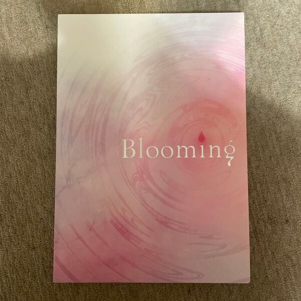 ヘタミュ ヘタリア ミュージカル フォトブック blooming パンフレット ヘタライ