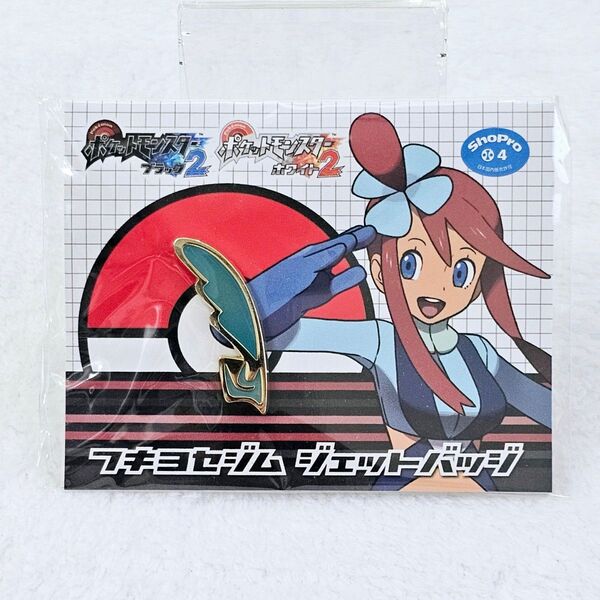 ポケットモンスター ブラック ホワイト バッジコレクション