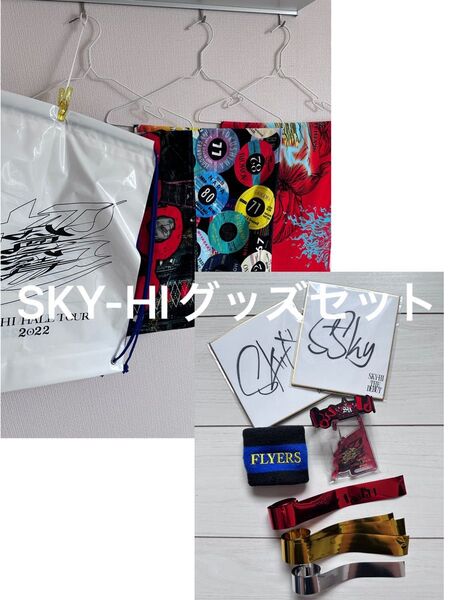 SKY-HI タオル サイン ラバーバンド リストバンド 銀テープ カラビナ