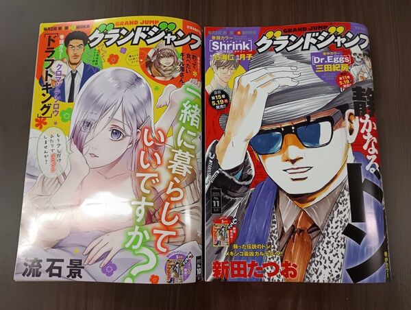 グランドジャンプ 2025年5月21日号 (集英社) NO.10 NO.11 2冊セット