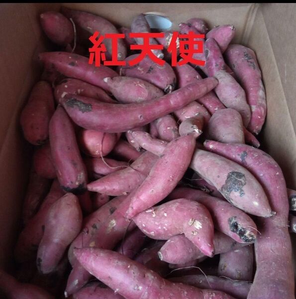 紅天使 約1キロ ほくほく山