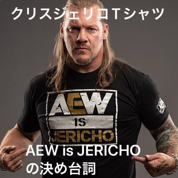 AEW Is Jericho オフィシャルTシャツ US Sサイズ