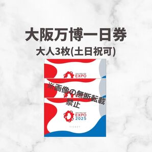 ペア 大阪万博 チケット 一日券 大人 3枚