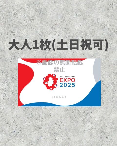 大阪万博 チケット 一日券 大人 1枚