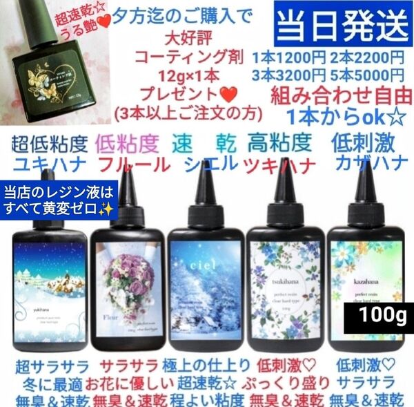 認定講師推奨レジン液5本セット+コーティング剤12g1本プレゼント