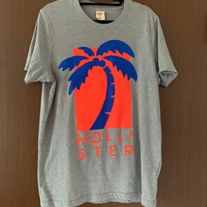 HOLLISTER ホリスター Tシャツ XL size