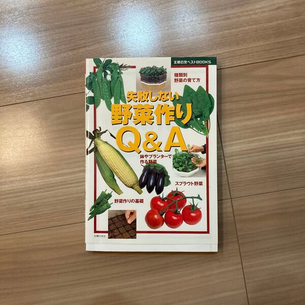 失敗しない野菜作りQ&A (園芸ガイド) 主婦の友社/編